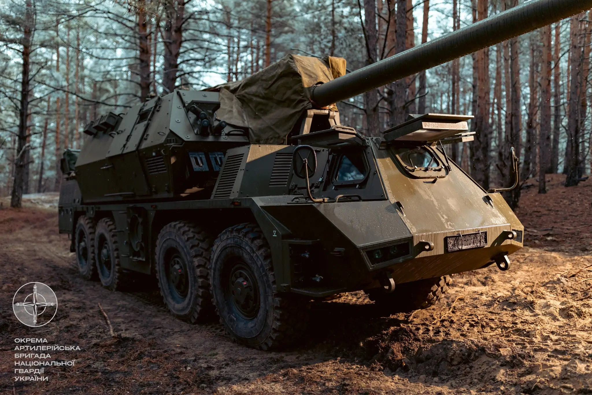 Zuzana 2 in a forest