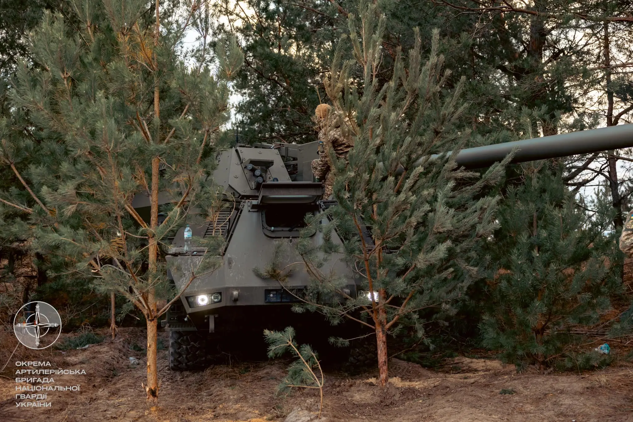 Zuzana 2 in a forest