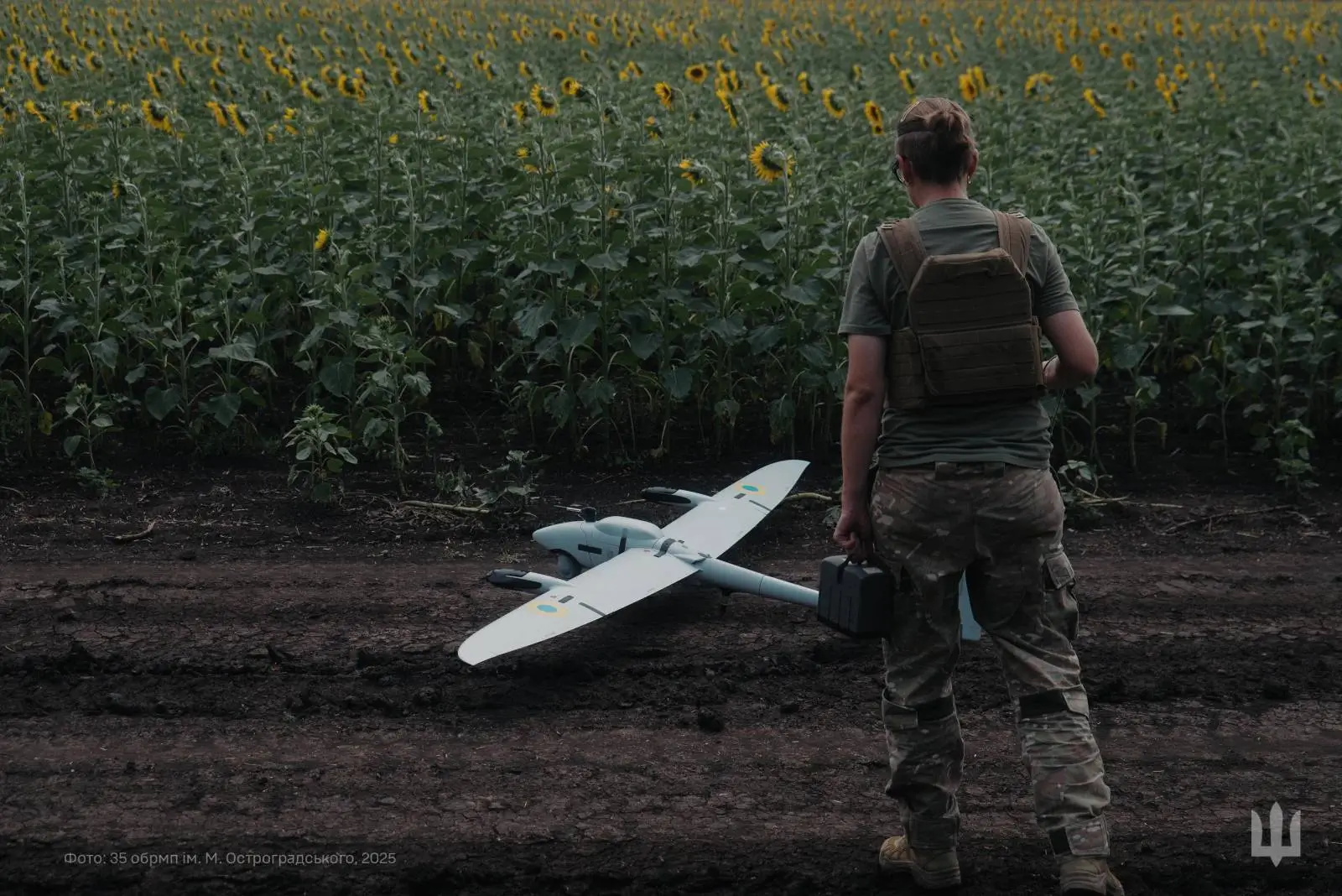 Vector UAV in a sunflower field