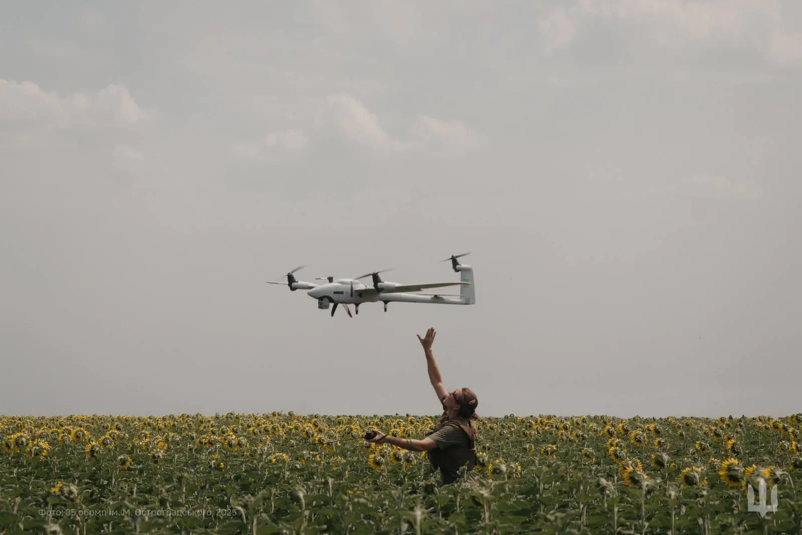 Vector UAV in a sunflower field